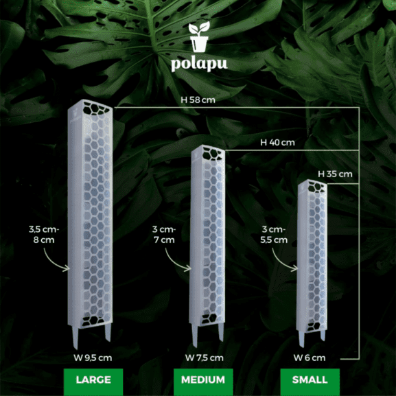 Skaidrus kiminų stulpas (moss pole)