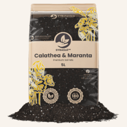 Kalatėjų ir marantų gruntas / Calathea & Maranta mix (5L)