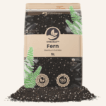 Paparčių gruntas / Fern mix (5L)