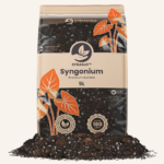 Singonių gruntas / Syngonium mix (5L)
